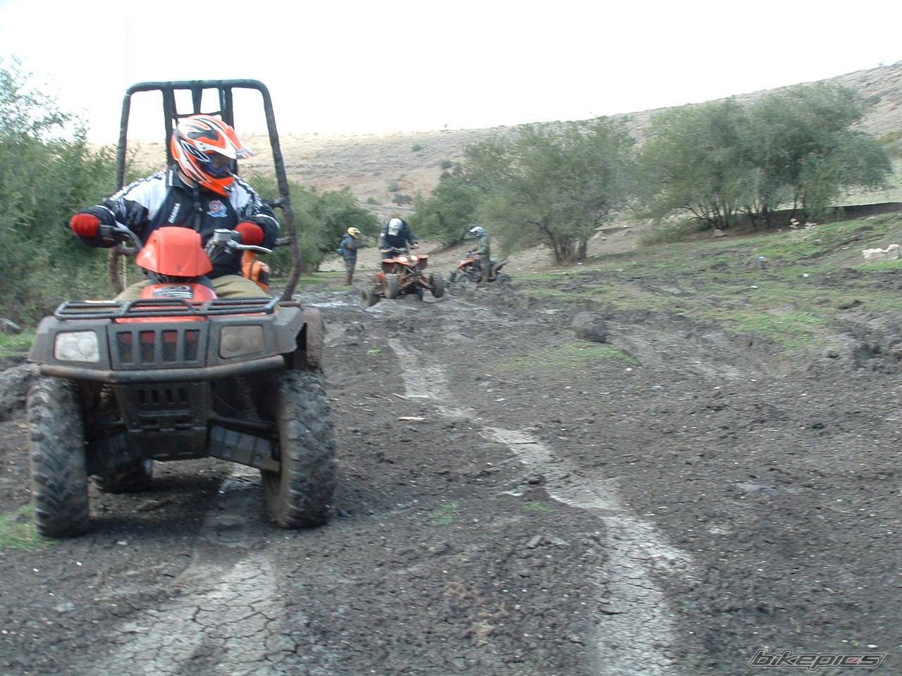 2006 POLARIS PREDATOR 500 | Picture 487807 motorcycle photo