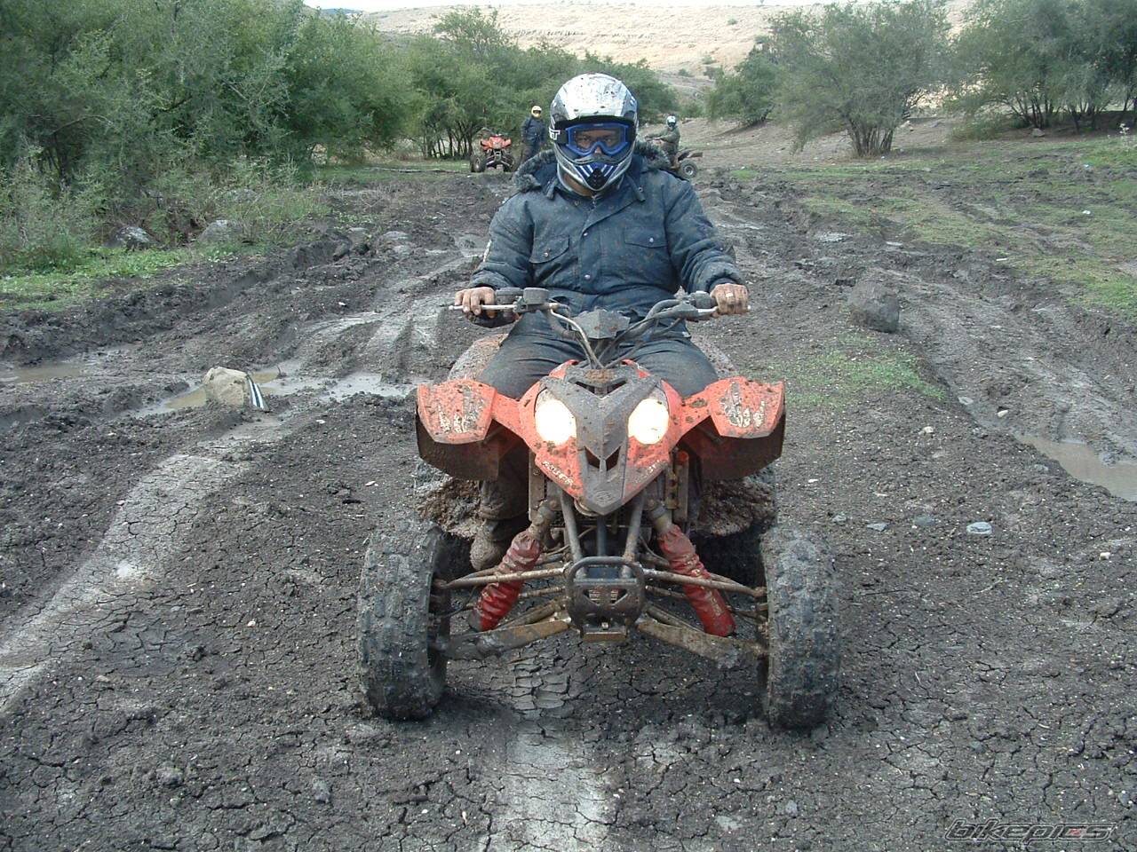 2006 POLARIS PREDATOR 500 | Picture 487810 motorcycle photo