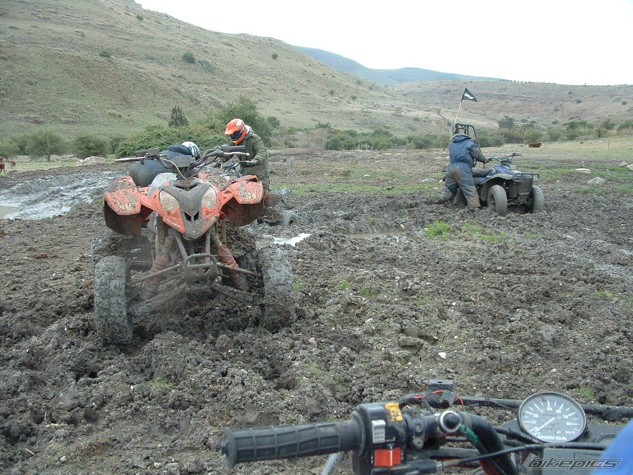 2006 POLARIS PREDATOR 500 | Picture 487852 motorcycle photo