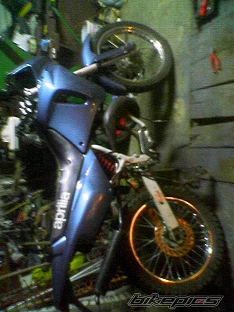1991 APRILIA PEGASO 50 | Picture 487896 motorcycle photo