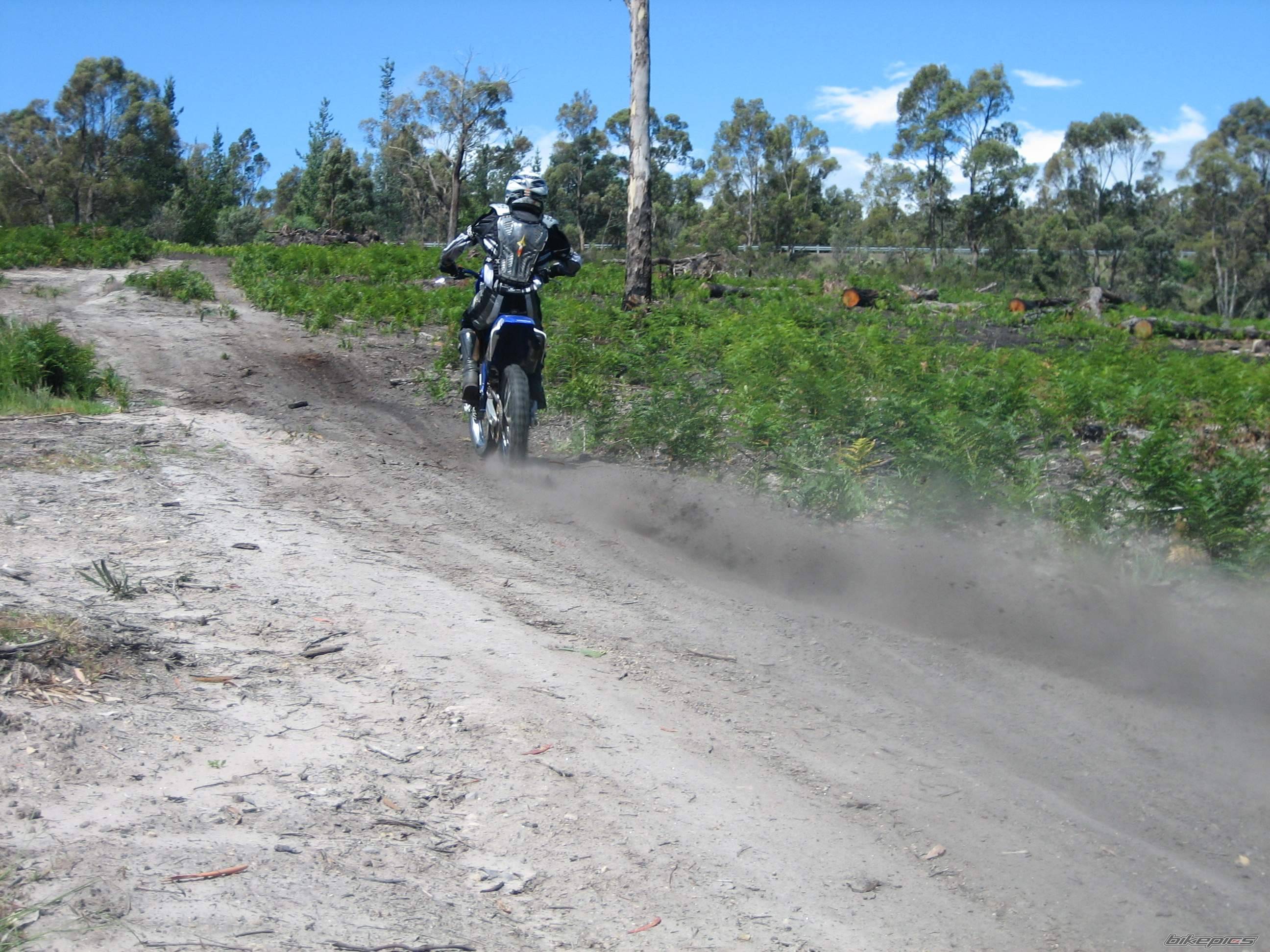 2001 YAMAHA YZ 125 | Picture 488124 motorcycle photo