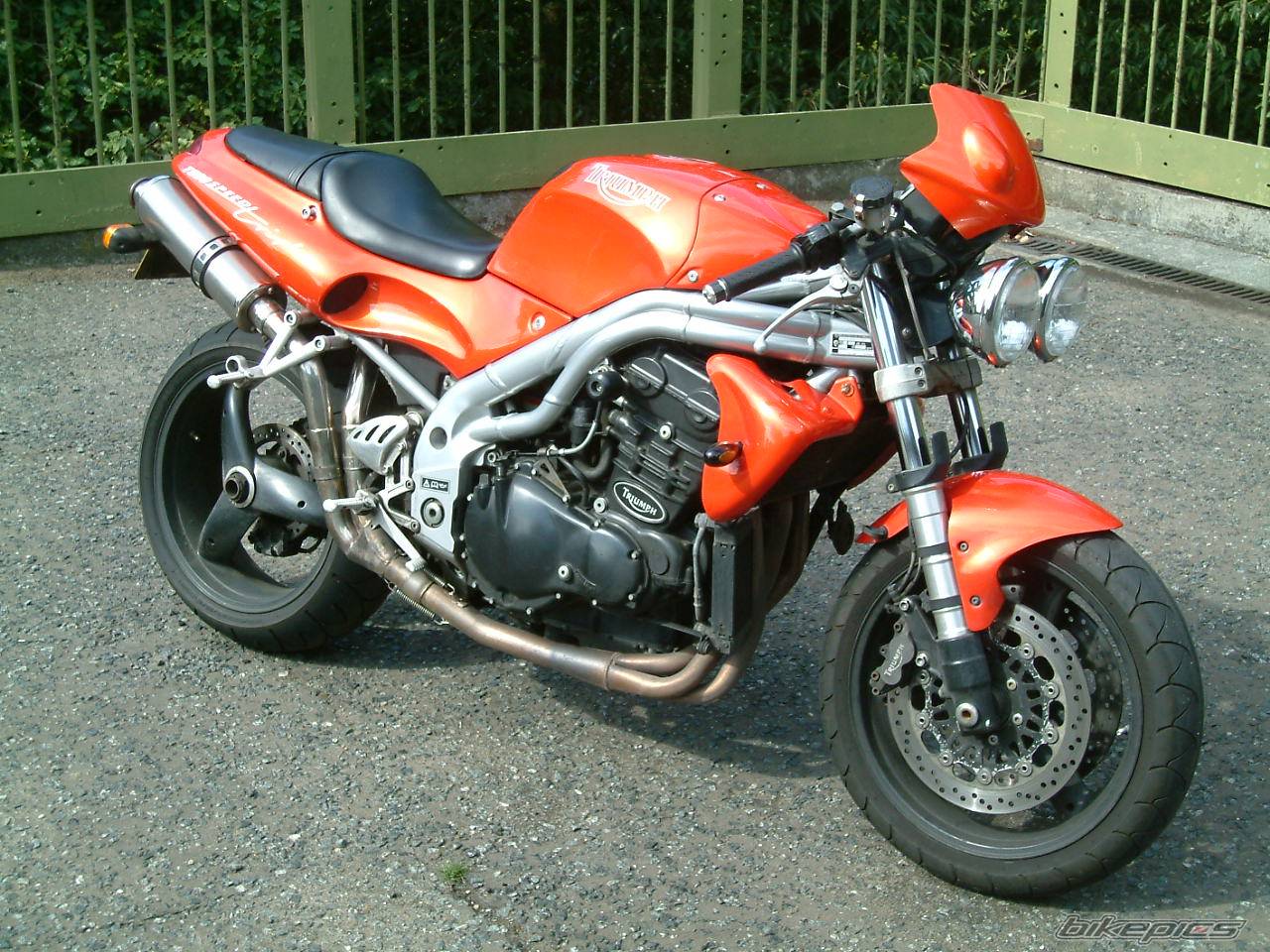 1997 TRIUMPH SPEED TRIPLE | Picture 488330 motorcycle photo