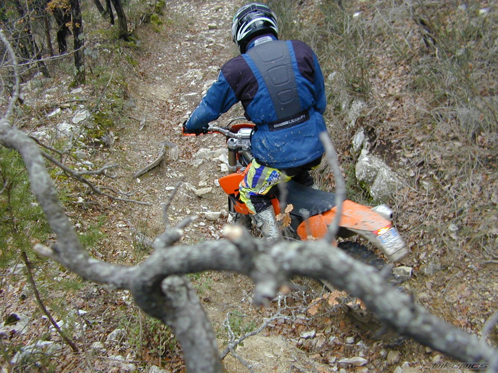 2003 KTM 450 EXC | Picture 488477 motorcycle photo