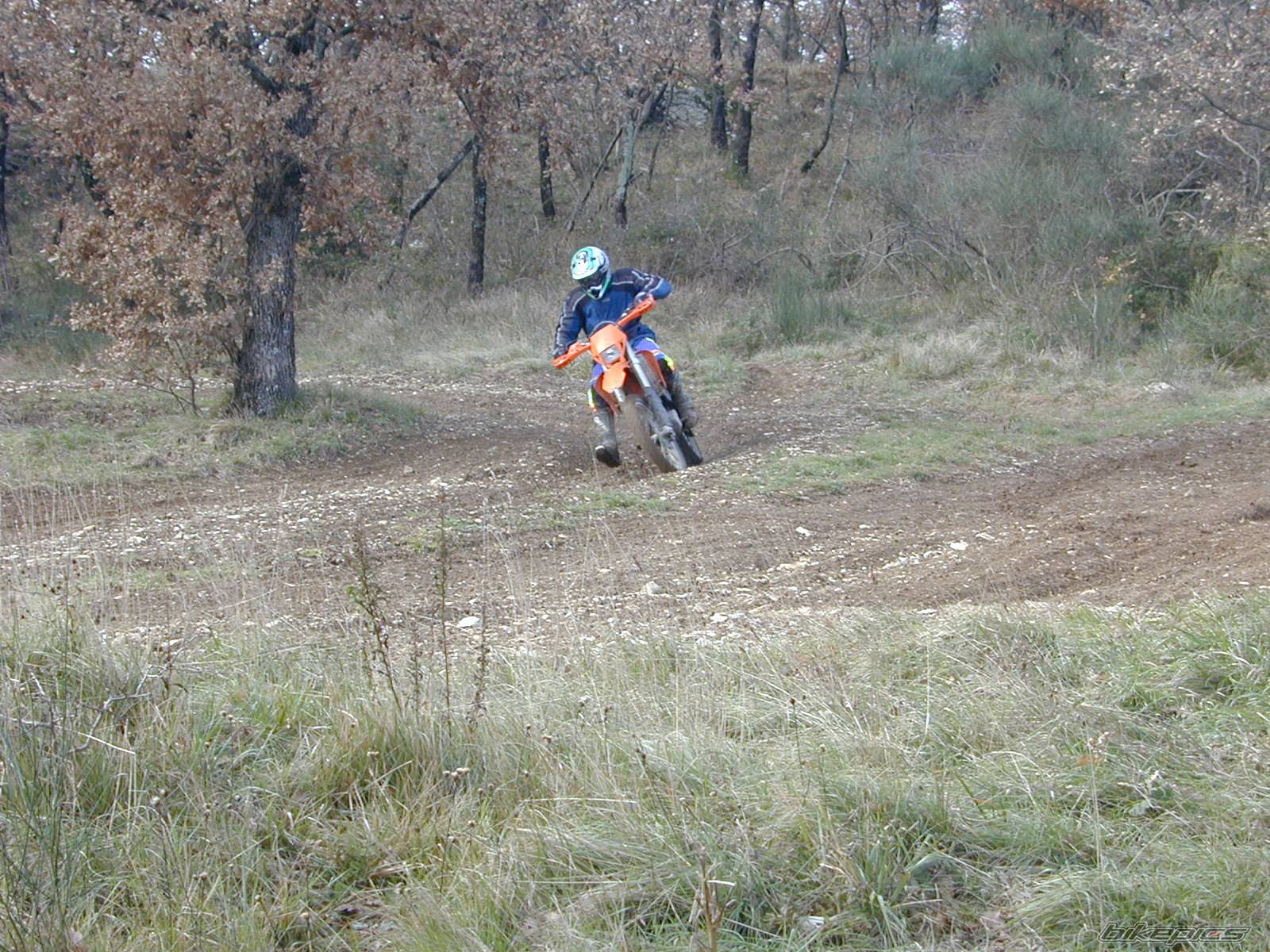 2003 KTM 450 EXC | Picture 488478 motorcycle photo