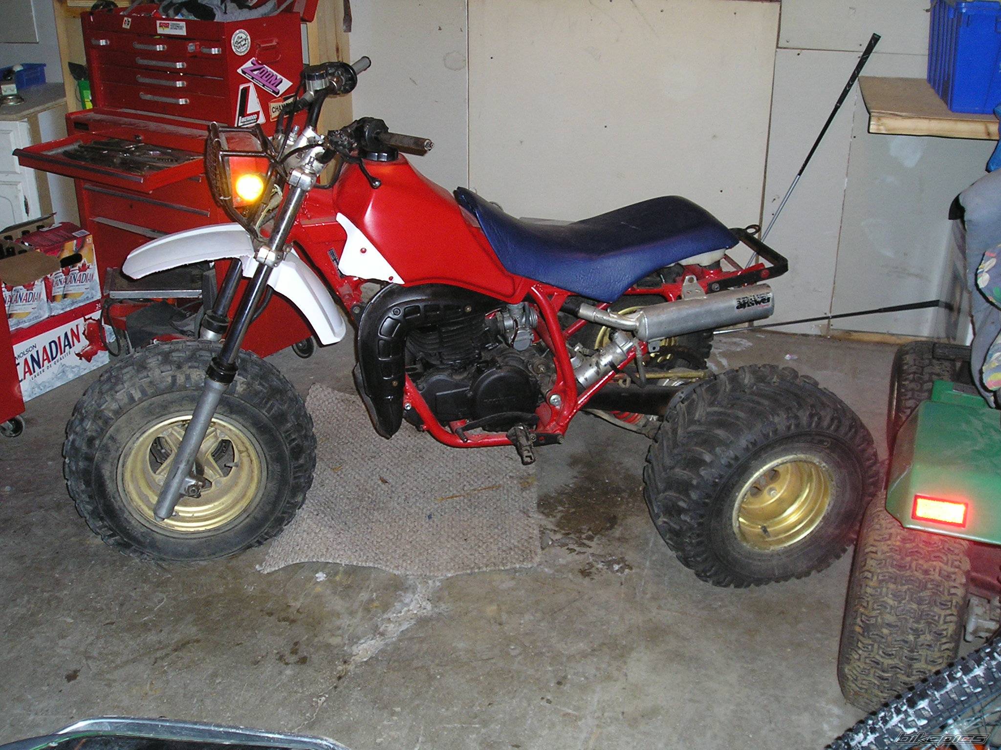 1984 HONDA ATC 250 | Picture 488551 motorcycle photo