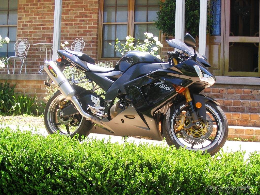 2005 KAWASAKI ZX 10R | Picture 489031 motorcycle photo