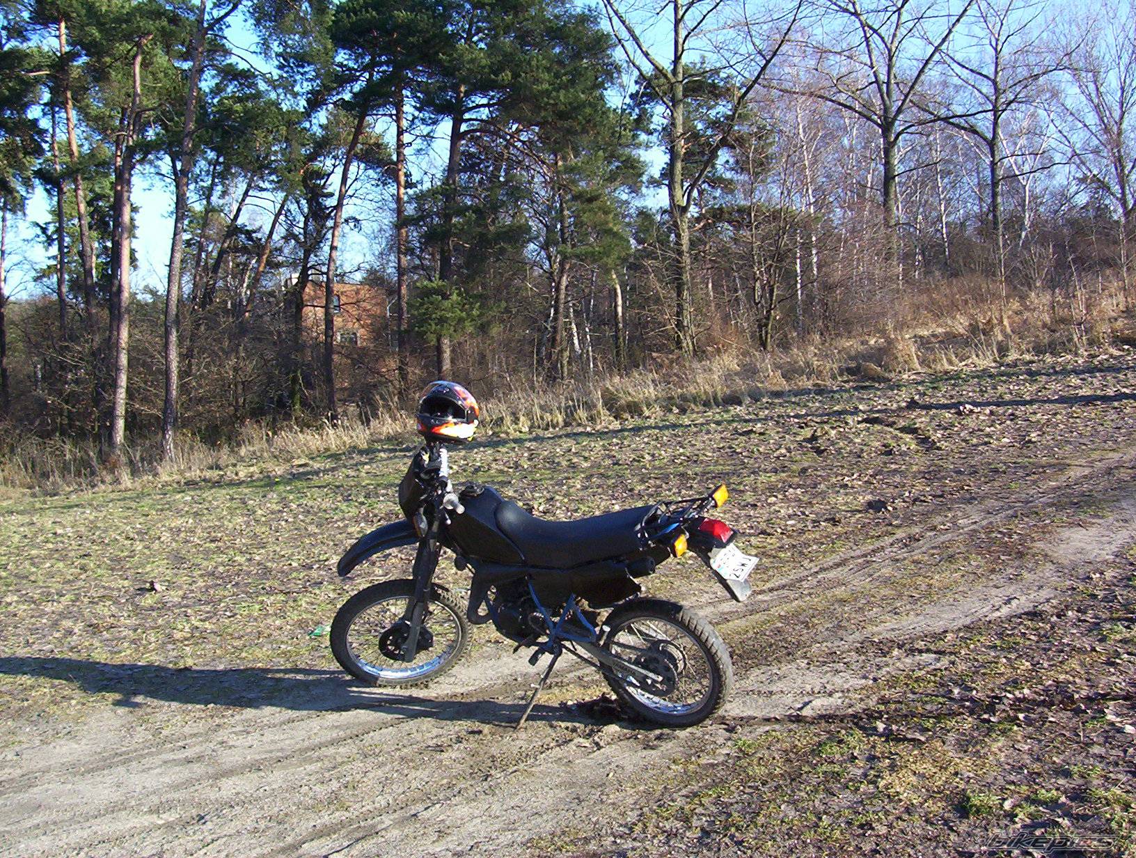 1993 YAMAHA DT 80 | Picture 489276 motorcycle photo