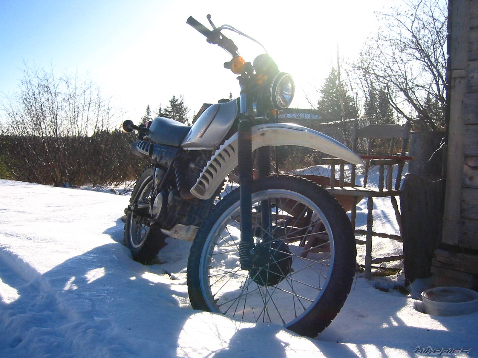 1981 YAMAHA XT 250 | Picture 48941 motorcycle photo
