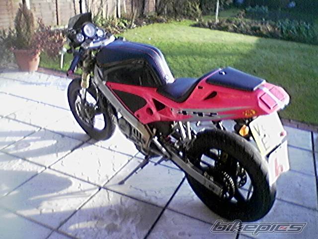 1999 DERBI GPR | Picture 489538 motorcycle photo