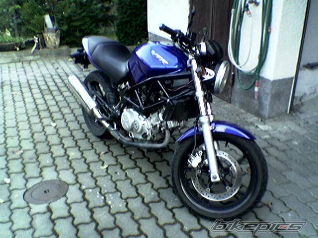 2000 HONDA VTR 250 | Picture 489604 motorcycle photo