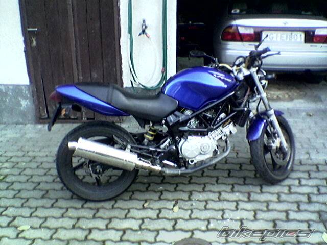 2000 HONDA VTR 250 | Picture 489606 motorcycle photo