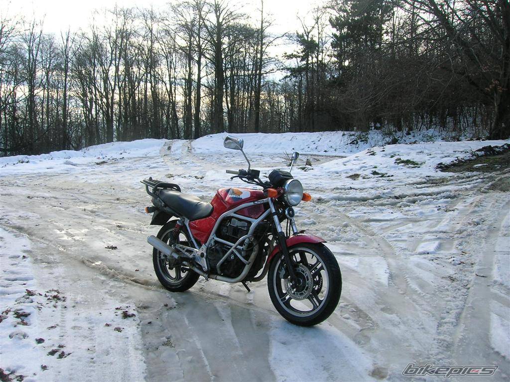 1987 HONDA CB 450 | Picture 490159 motorcycle photo