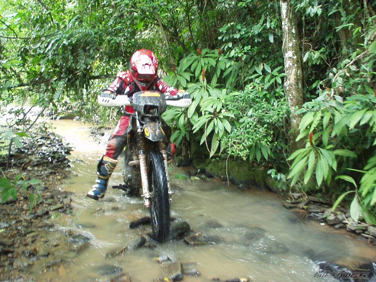 1998 HONDA XR 200 | Picture 490195 motorcycle photo