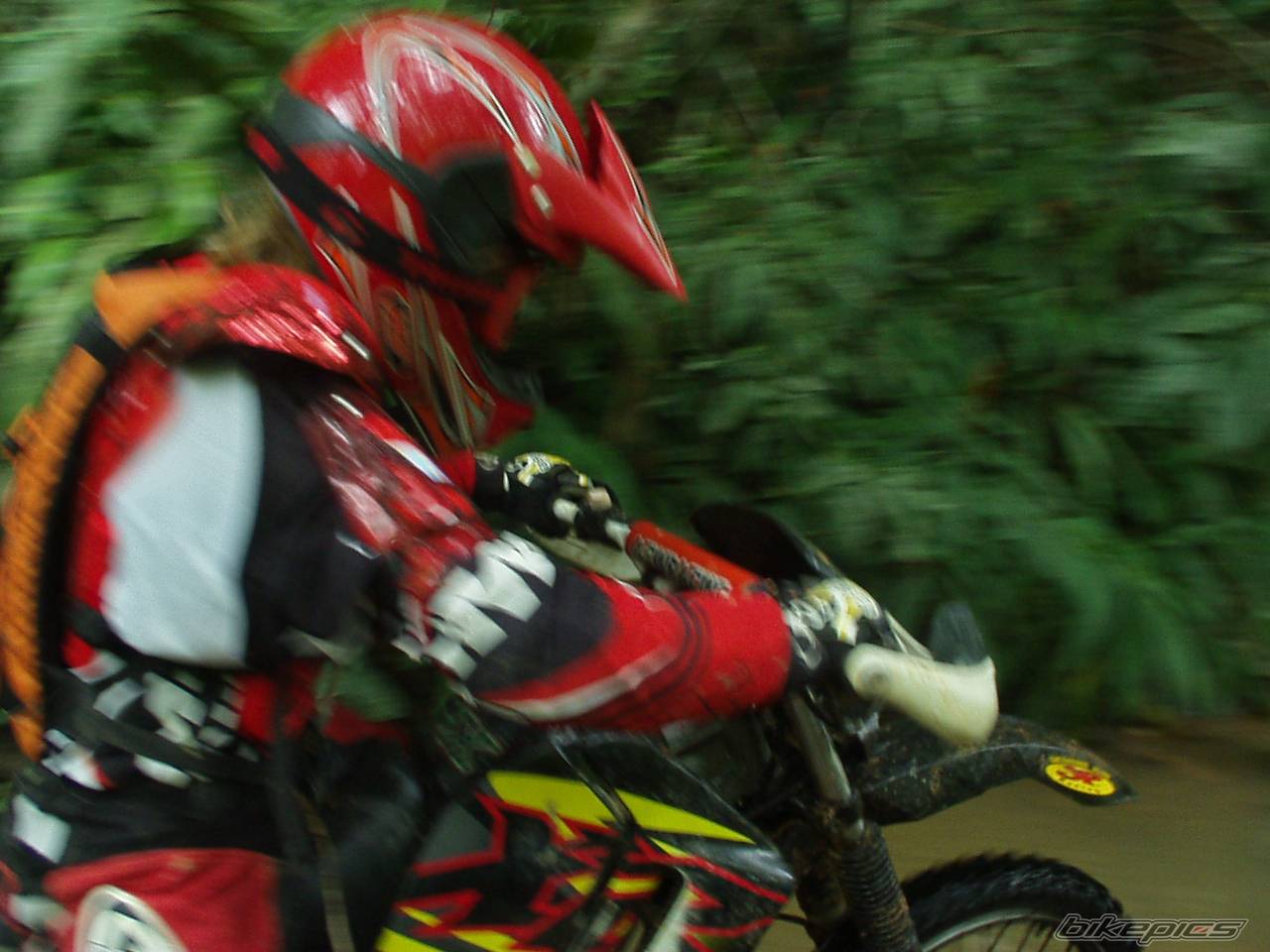 1998 HONDA XR 200 | Picture 490196 motorcycle photo