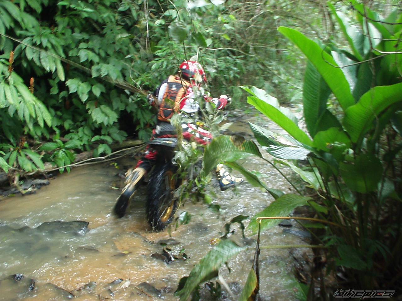 1998 HONDA XR 200 | Picture 490200 motorcycle photo