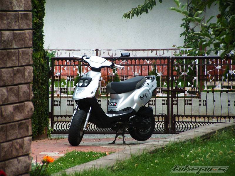 2004 TGB ORION 101 S | Picture 490203 motorcycle photo