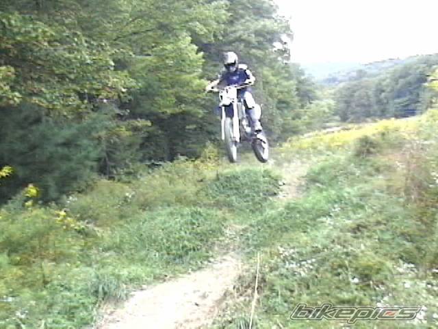 2001 YAMAHA YZ 250F | Picture 490290 motorcycle photo