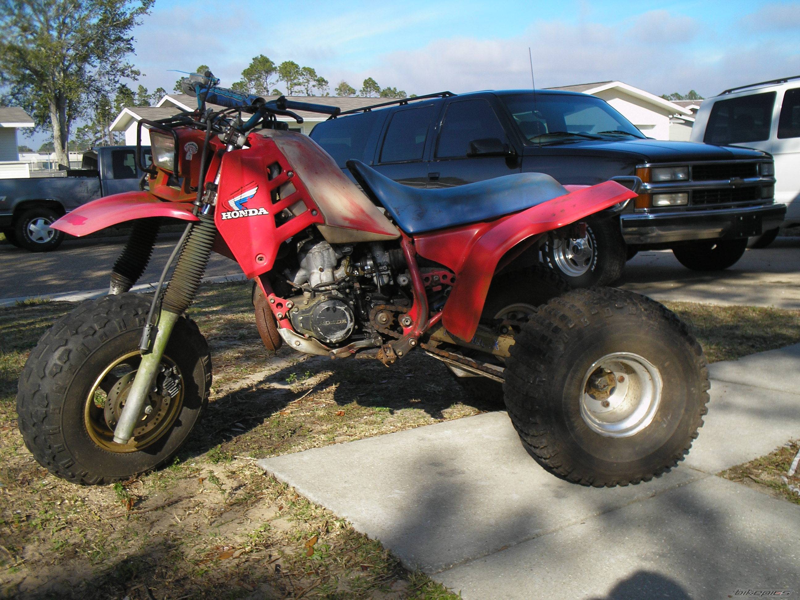 1985 HONDA ATC 250 | Picture 490320 motorcycle photo