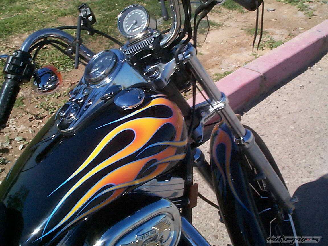 1995 HARLEY DAVIDSON XL 1200 C | Picture 49100 motorcycle photo