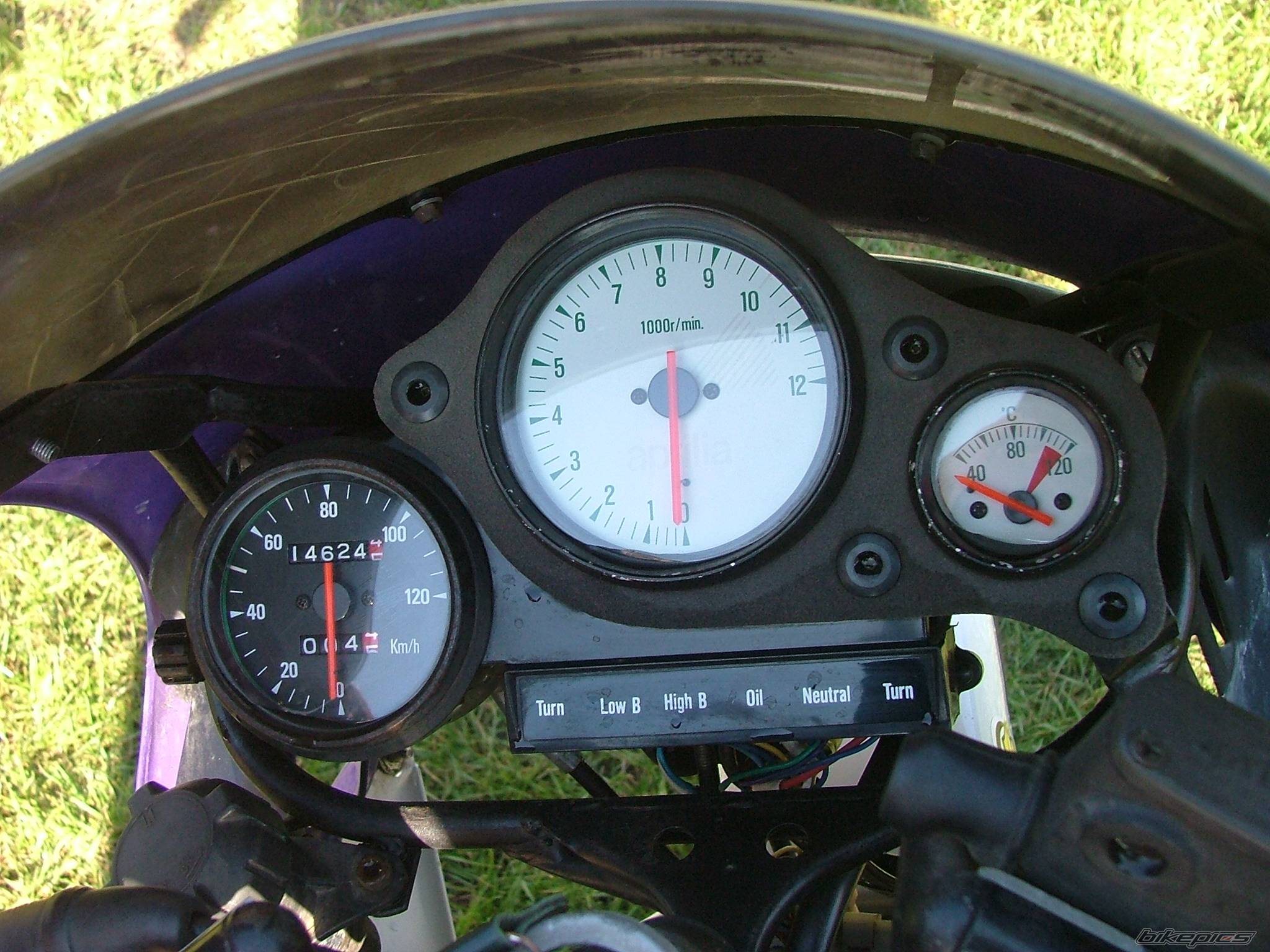 1992 APRILIA AF1 FUTURA 50 | Picture 491911 motorcycle photo