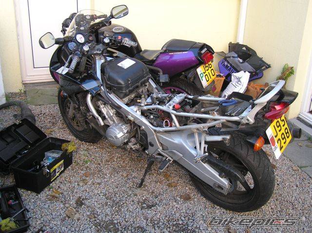 1997 HONDA CBR 600 | Picture 492011 motorcycle photo