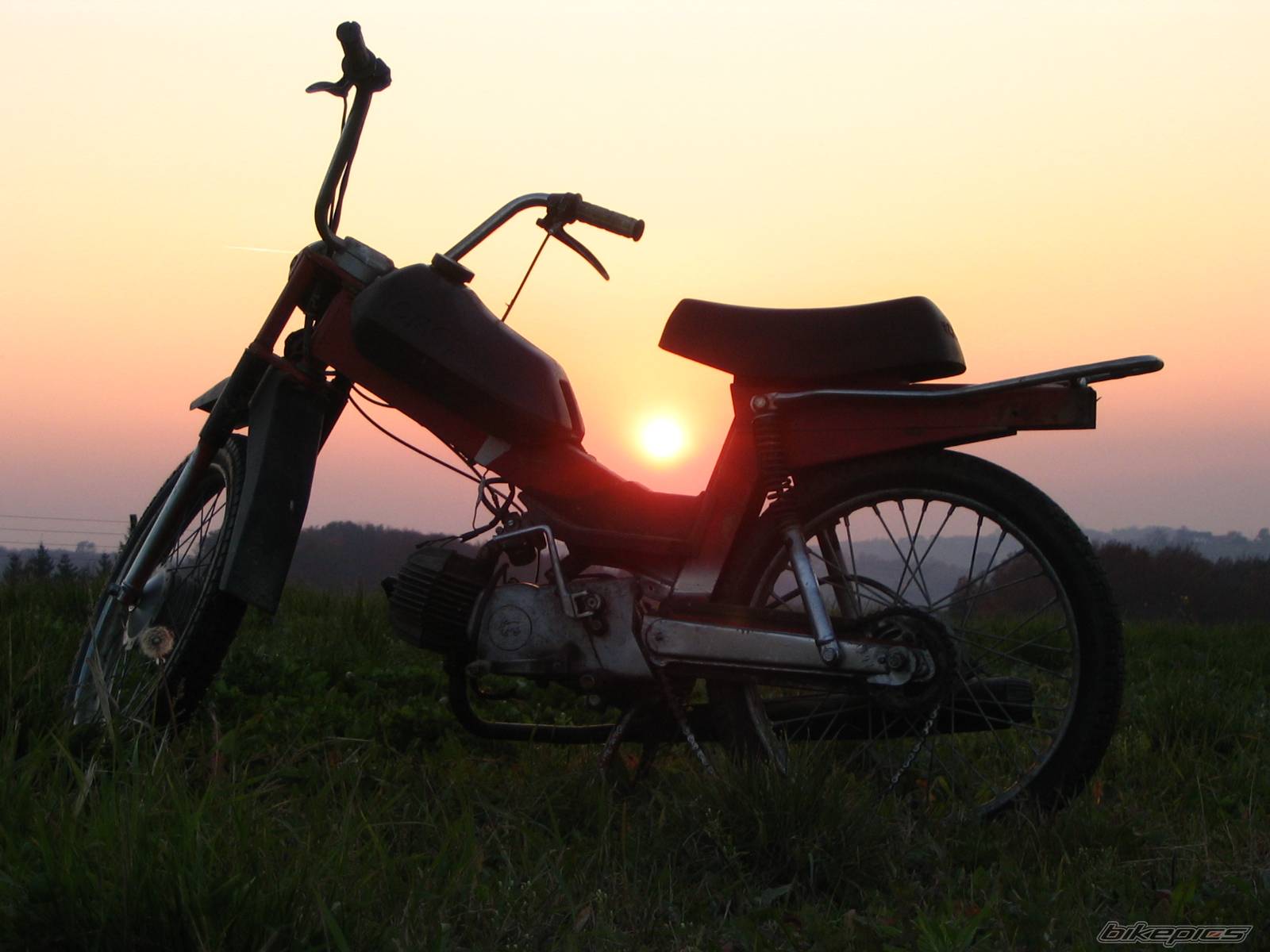 1979 TOMOS APN 6 | Picture 492409 motorcycle photo