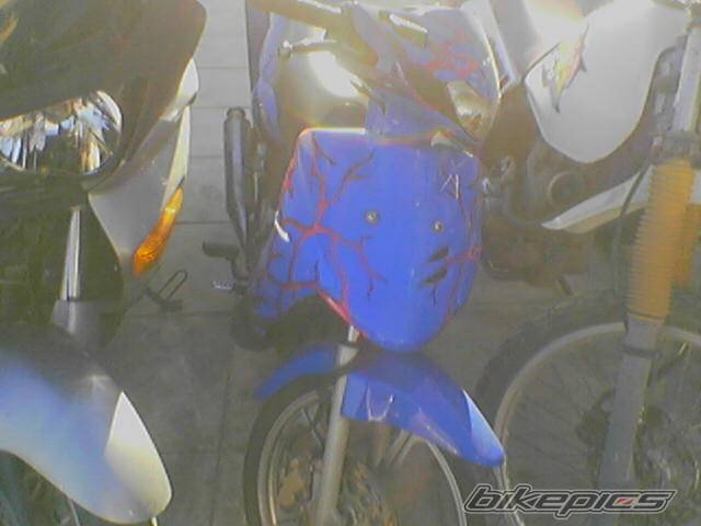 2006 SUZUKI FX 125 | Picture 492558 motorcycle photo