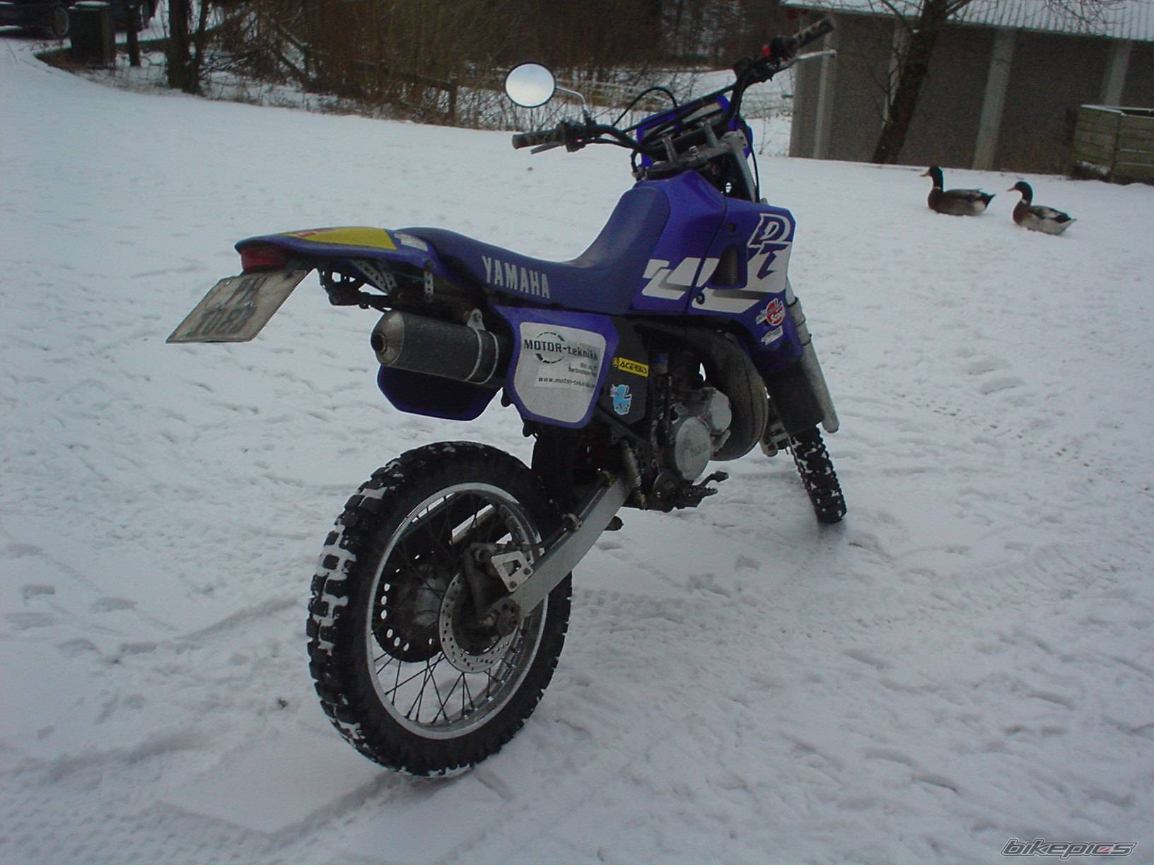 2002 YAMAHA DT 125 | Picture 492776 motorcycle photo