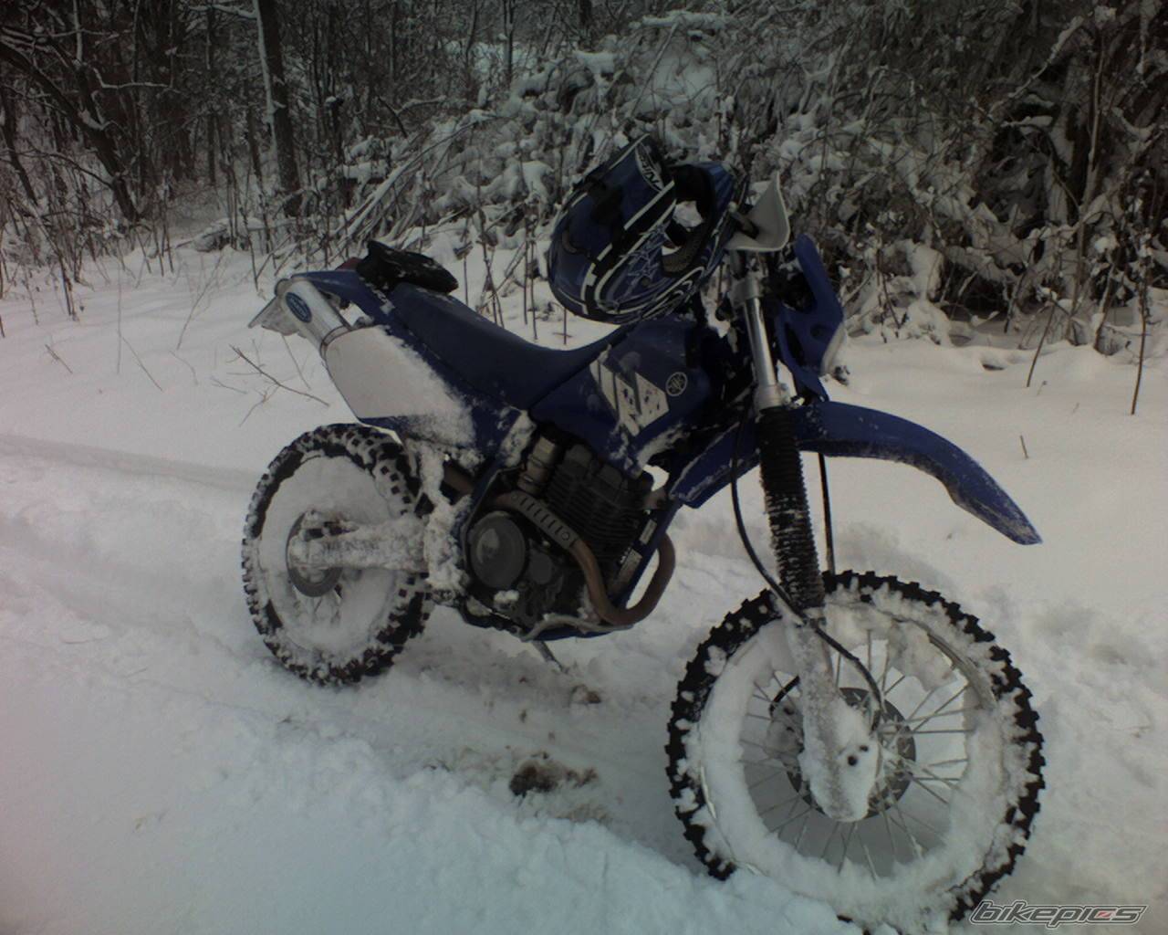 2004 YAMAHA TTR 250 | Picture 492952 motorcycle photo