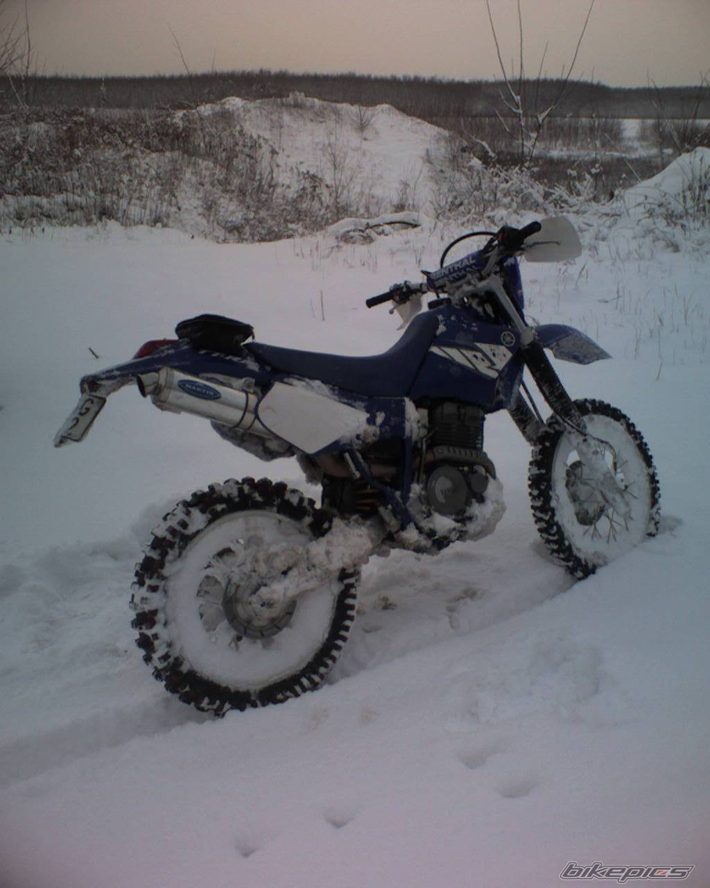 2004 YAMAHA TTR 250 | Picture 492953 motorcycle photo