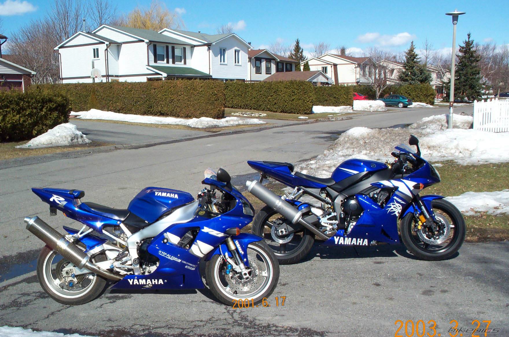 2003 YAMAHA YZF R1 | Picture 49303 motorcycle photo
