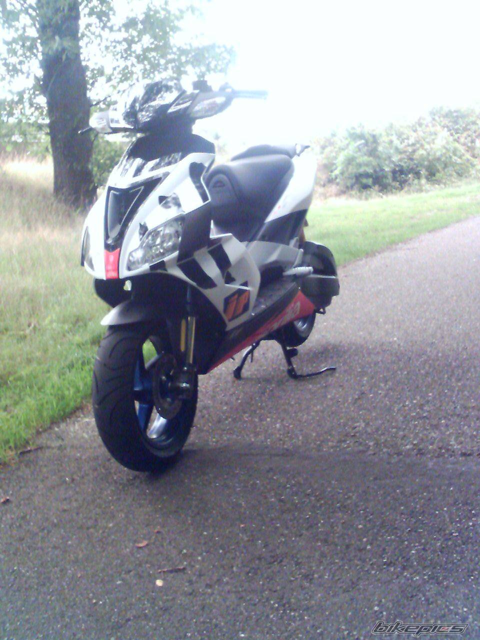 2005 APRILIA RSV MILLE FACTORY | Picture 493208 motorcycle photo