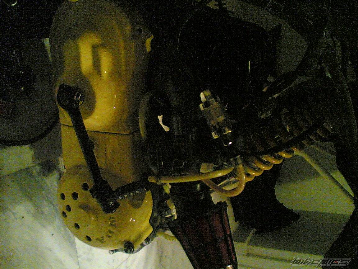 2005 HONDA DIO AF 28 | Picture 493483 motorcycle photo