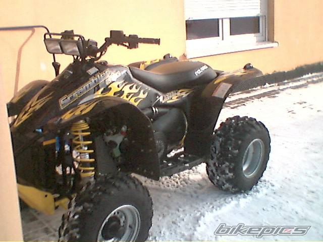 2005 POLARIS SCRAMBLER 500 | Picture 493966 motorcycle photo