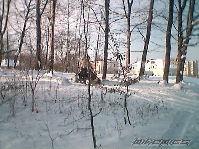 2005 POLARIS SCRAMBLER 500 | Picture 493969 motorcycle photo