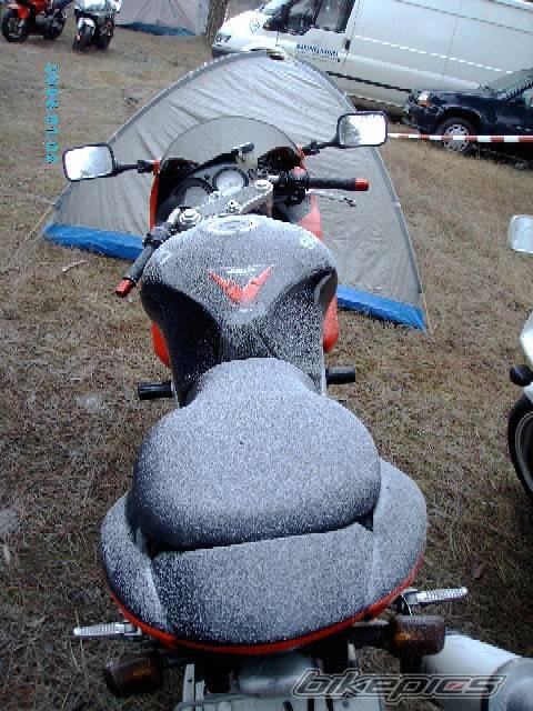 2005 SUZUKI GSX R 600 | Picture 494253 motorcycle photo