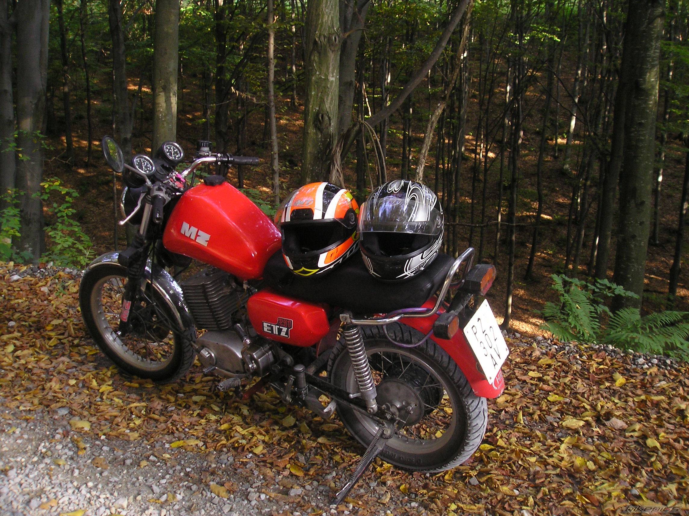 1989 MZ ETZ 251 | Picture 494797 motorcycle photo