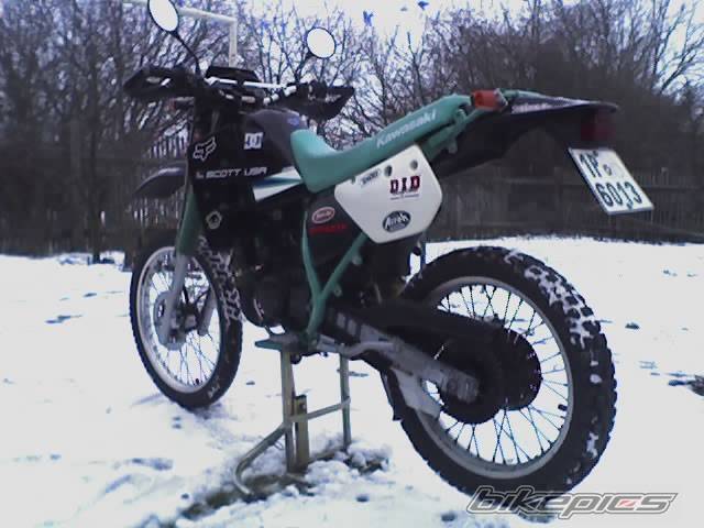 2005 KAWASAKI KMX 125 | Picture 495094 motorcycle photo