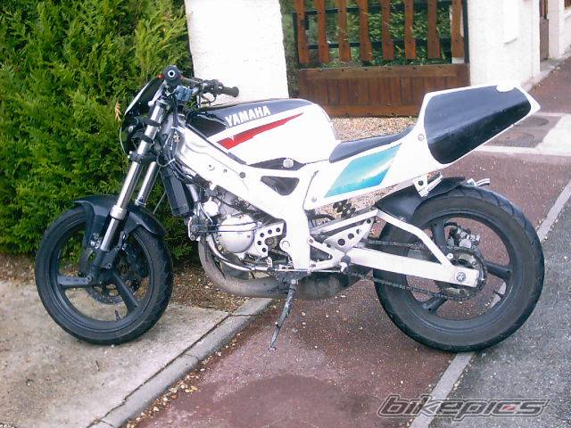1997 YAMAHA TZR 125 | Picture 49533 motorcycle photo