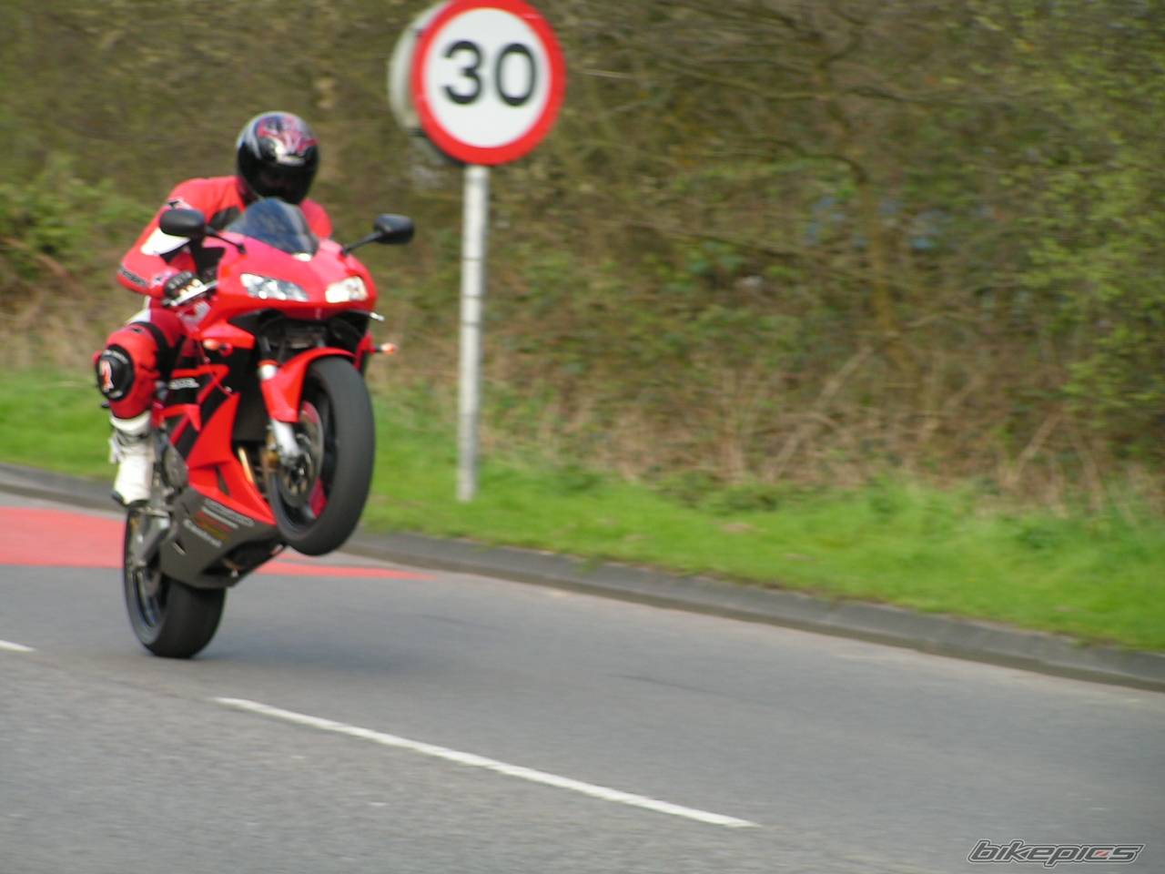 2003 HONDA CBR 600 | Picture 495500 motorcycle photo