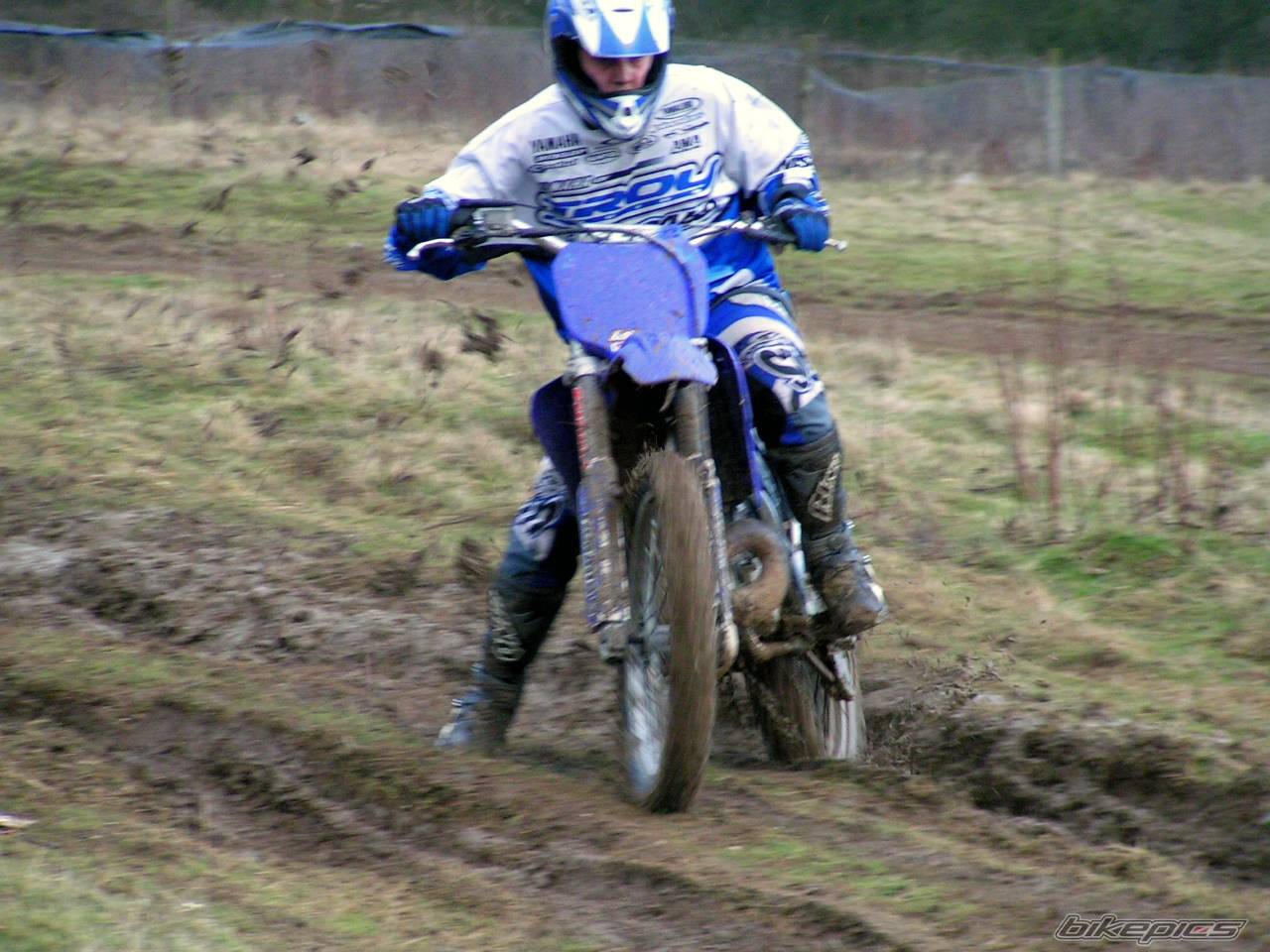 1997 YAMAHA YZ 250 | Picture 495534 motorcycle photo