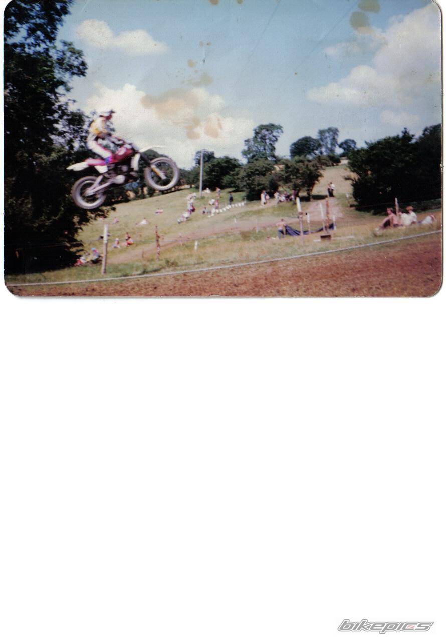 1980 YAMAHA YZ 465 | Picture 495542 motorcycle photo