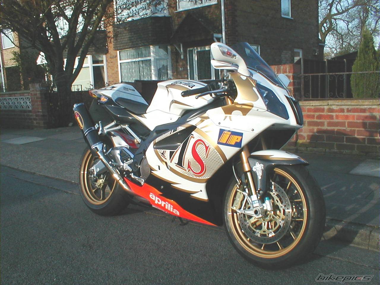 2006 APRILIA RSV MILLE FACTORY | Picture 495706 motorcycle photo