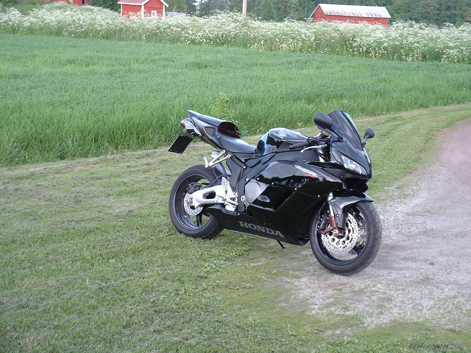 2004 HONDA CBR 1000  RR | Picture 496139 motorcycle photo