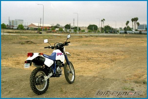 1994 SUZUKI DR 350 | Picture 49638 motorcycle photo