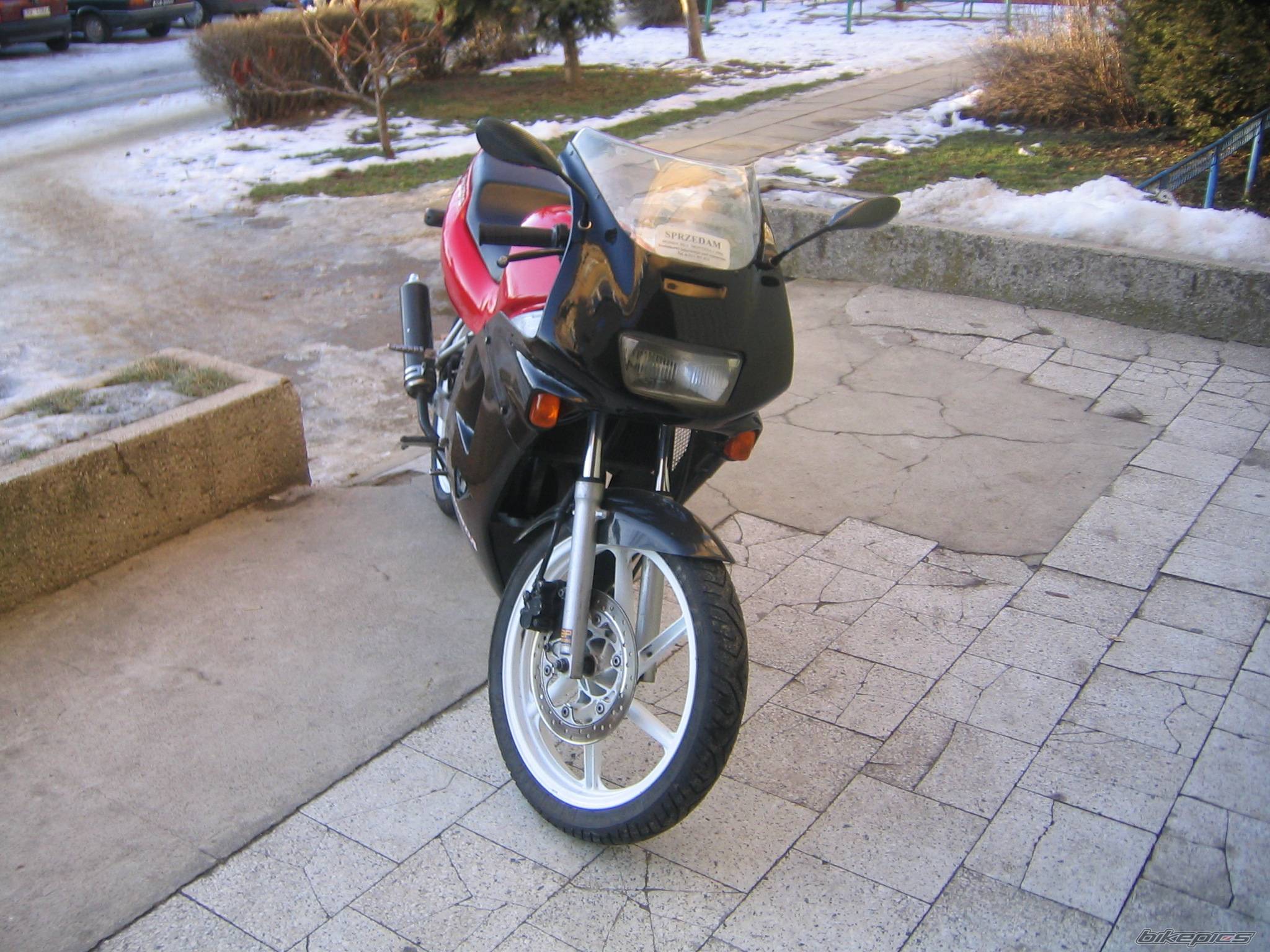1994 HONDA NS1 80 | Picture 496872 motorcycle photo