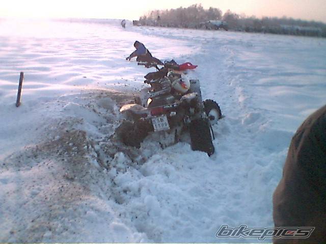 2005 POLARIS SCRAMBLER 500 | Picture 497000 motorcycle photo