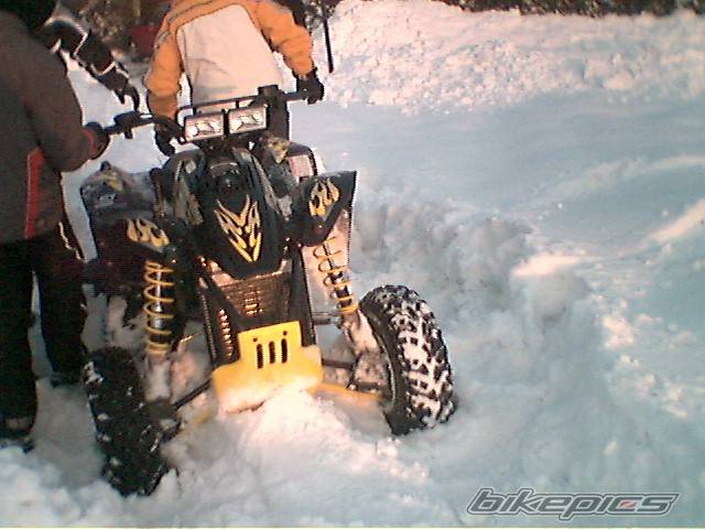 2005 POLARIS SCRAMBLER 500 | Picture 497006 motorcycle photo