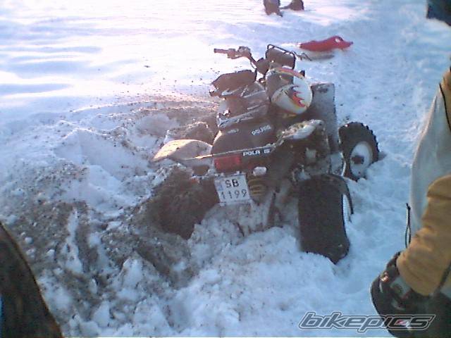 2005 POLARIS SCRAMBLER 500 | Picture 497008 motorcycle photo