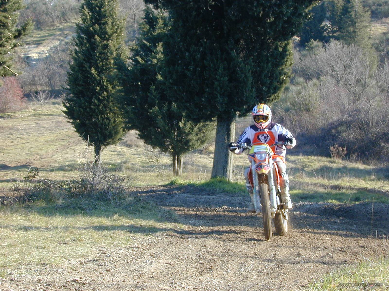 2003 KTM 450 EXC | Picture 497181 motorcycle photo